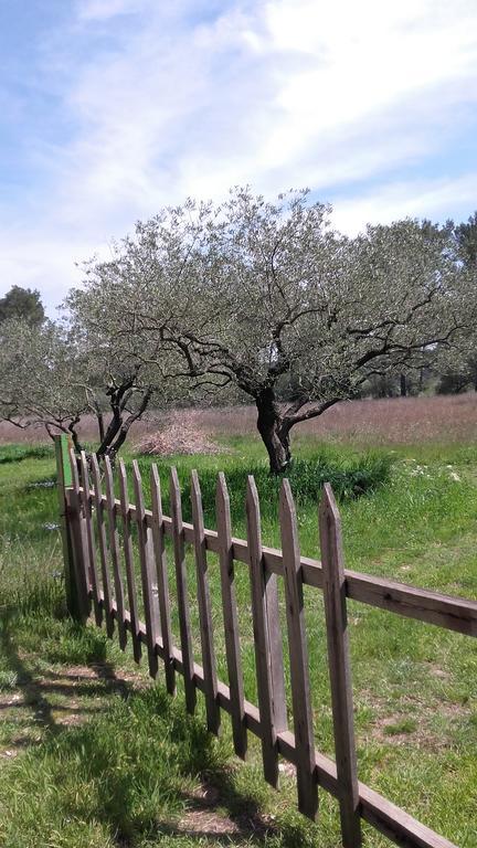 Le Clos Olives Comps  외부 사진